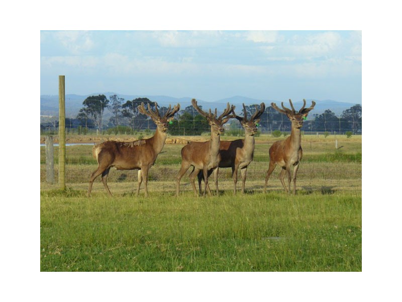 204 Luckmans Road, Boisdale VIC 3860