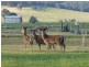 204 Luckmans Road, Boisdale VIC 3860