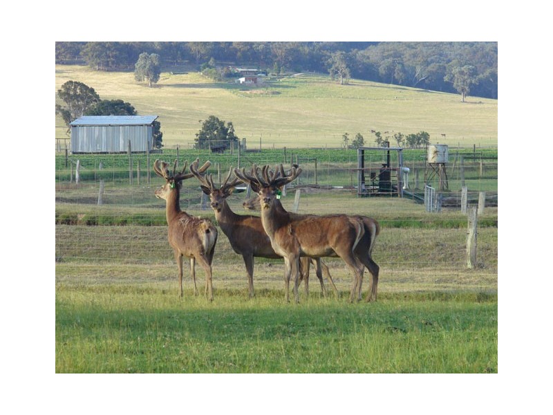 204 Luckmans Road, Boisdale VIC 3860