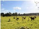 451 Traralgon Tyers Road, Tyers VIC 3844