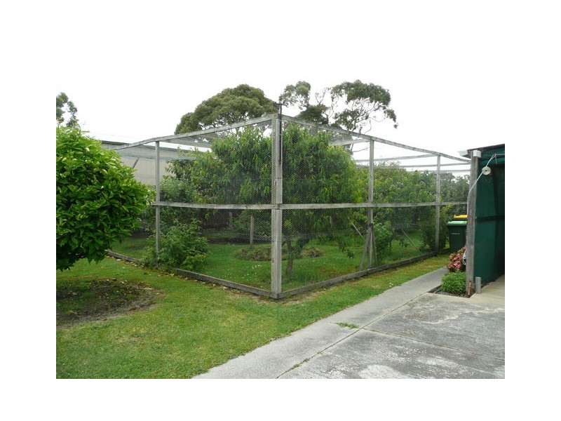 61 Yarram – Pt. Albert Road, Langsborough VIC 3971