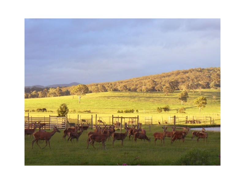 204 Luckmans Road, Boisdale VIC 3860