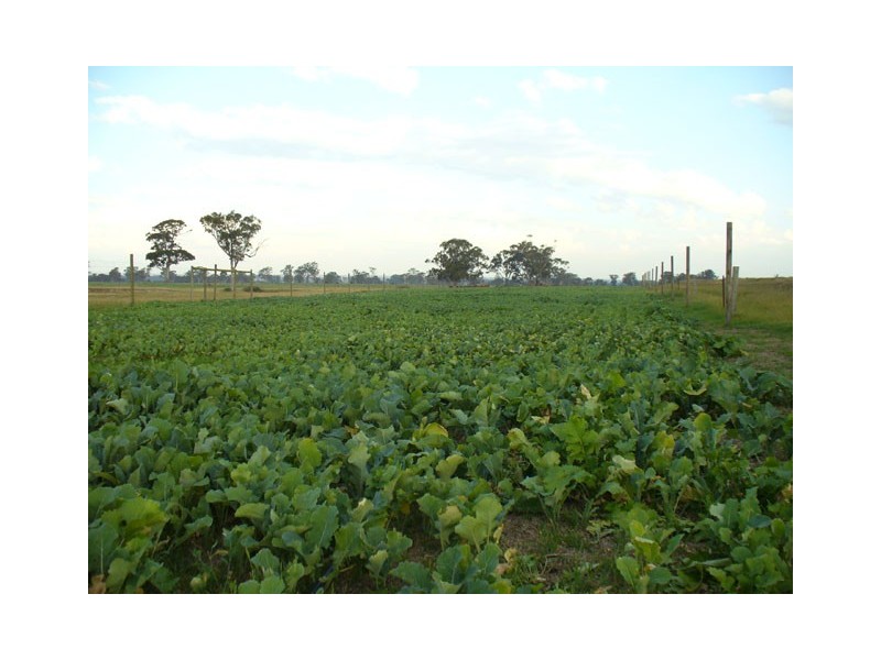 204 Luckmans Road, Boisdale VIC 3860