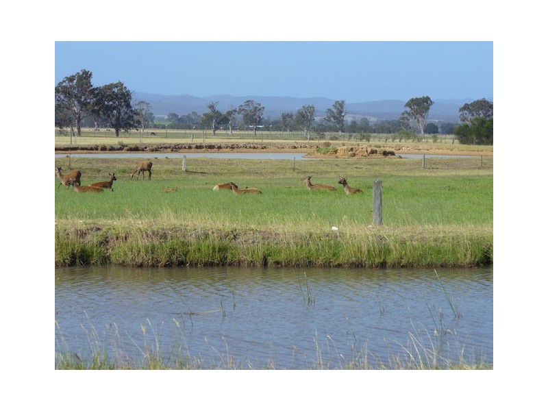 204 Luckmans Road, Boisdale VIC 3860