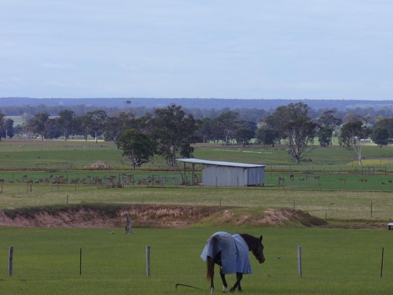 204 Luckmans Road, Boisdale VIC 3860