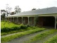 40 Tristiania Drive, Traralgon VIC 3844