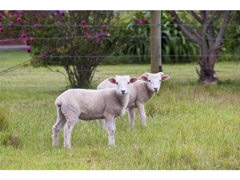 894 Cairnbrook Road, Glengarry VIC 3854