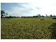 Lot 11 Kyle Street, Rosedale VIC 3847