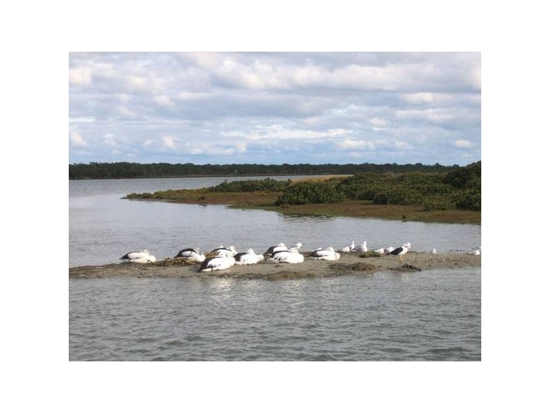 23 (Lot 9) Cameron Street, Mcloughlins Beach VIC 3874