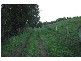 Lot 4 Traralgon Creek Road, Koornalla VIC 3844