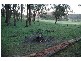 Lot 4 Traralgon Creek Road, Koornalla VIC 3844
