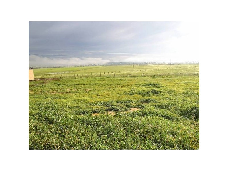 Lot 26 Independent Way, Traralgon VIC 3844