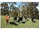 230 Traralgon – Balook Road, Traralgon South VIC 3844