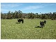 230 Traralgon – Balook Road, Traralgon South VIC 3844