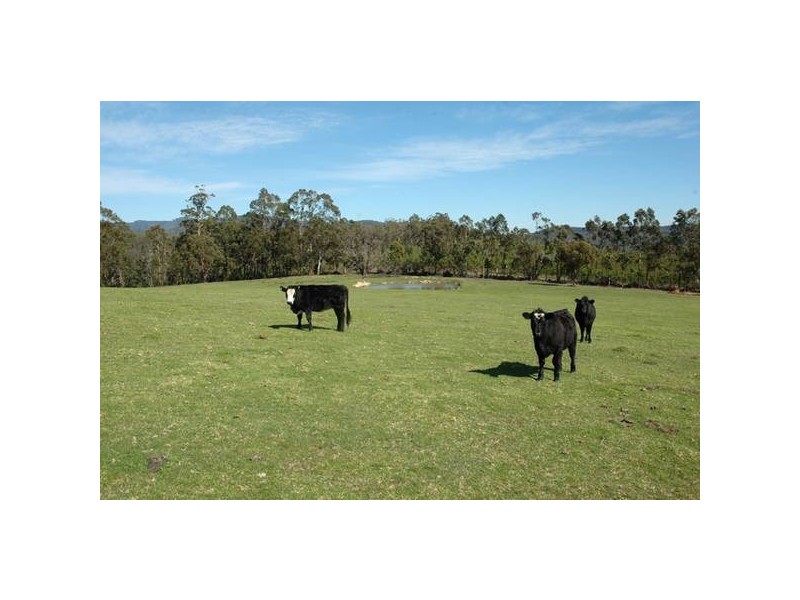 230 Traralgon – Balook Road, Traralgon South VIC 3844