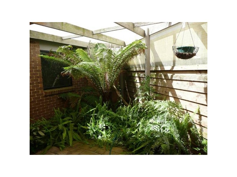 1 Lachlan Close, Traralgon VIC 3844