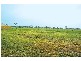 Lot 250 Monaghan Close, Traralgon VIC 3844
