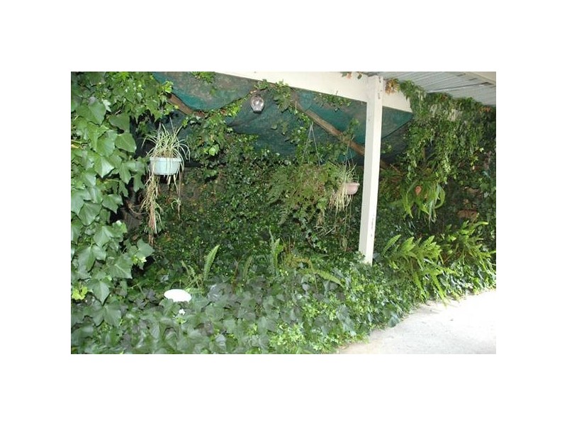 37 Mackay Street, Rosedale VIC 3847