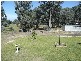 45 Hocking Crescent, Toongabbie VIC 3856