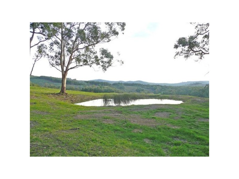 Lot 1 Symons Drive, Callignee VIC 3844