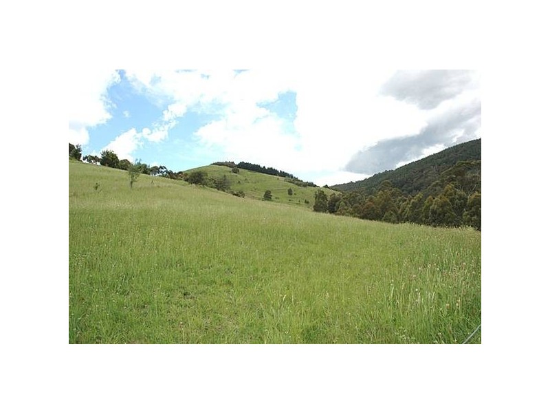 20 Braniffs Road, Jeeralang Junction VIC 3840