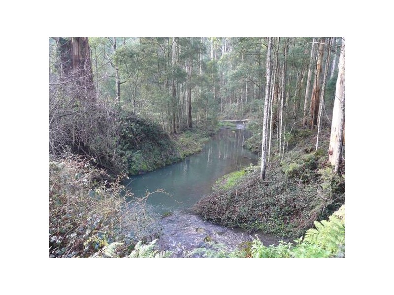 2190 Traralgon Creek Road, Koornalla VIC 3844