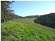 1205 Budgeree Road, Budgeree VIC 3870