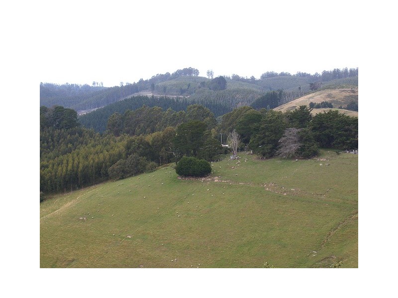 1205 Budgeree Road, Budgeree VIC 3870