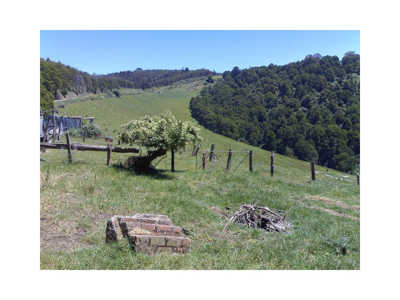 1205 Budgeree Road, Budgeree VIC 3870