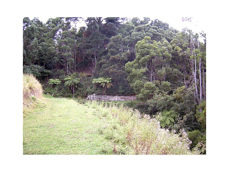 1205 Budgeree Road, Budgeree VIC 3870