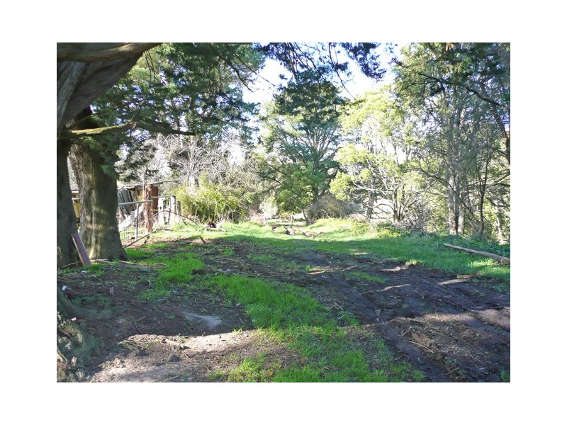 1205 Budgeree Road, Budgeree VIC 3870