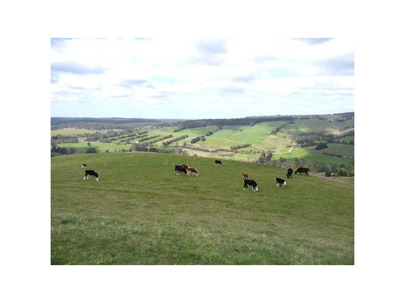 69B Willis Road, Carrajung Lower VIC 3844