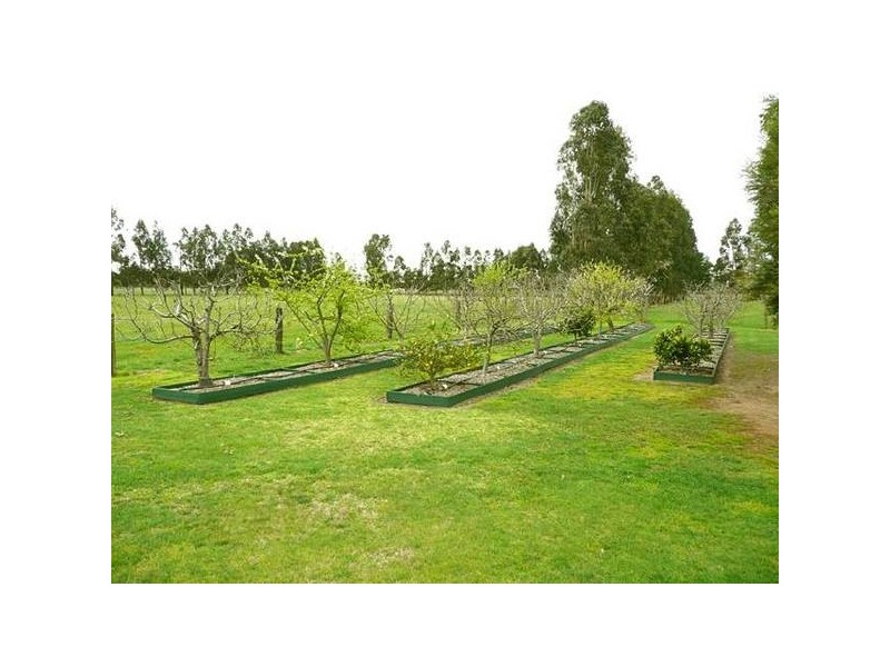 10 Black Tank Road, Glengarry VIC 3854