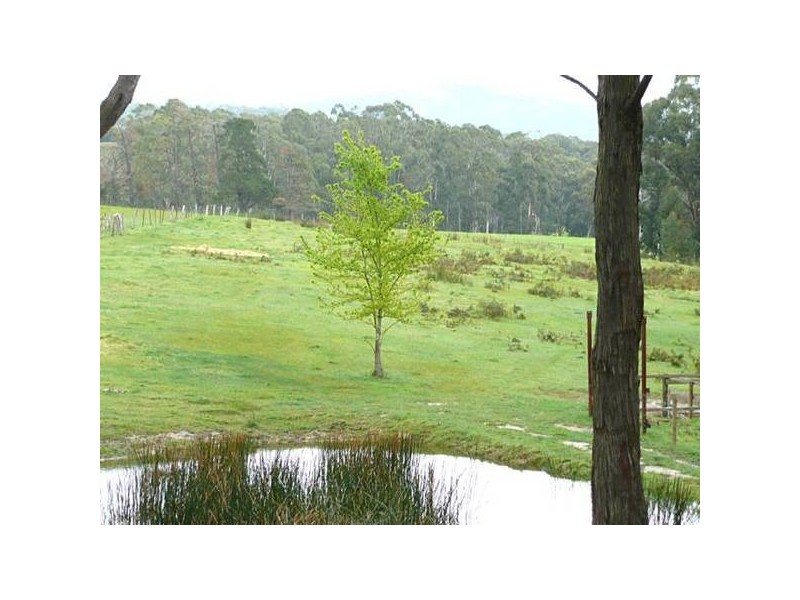 370 Balook Road, Callignee VIC 3844