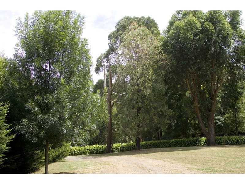 745 Old Sale Road, Warragul VIC 3820