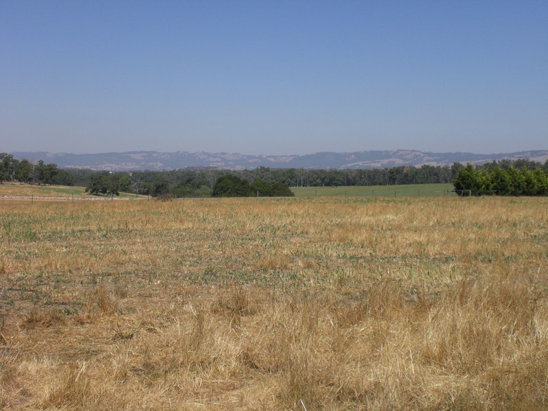 Lot 1 Brookers Rd, Shady Creek VIC 3821