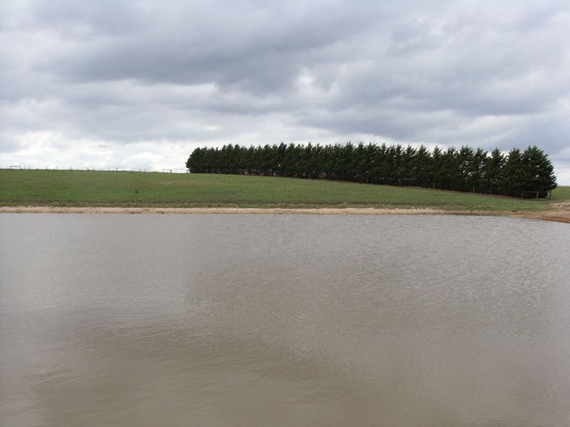 Brookers Road, Shady Creek VIC 3821