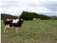 Brookers Road, Shady Creek VIC 3821