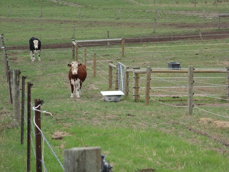 Brookers Road, Shady Creek VIC 3821