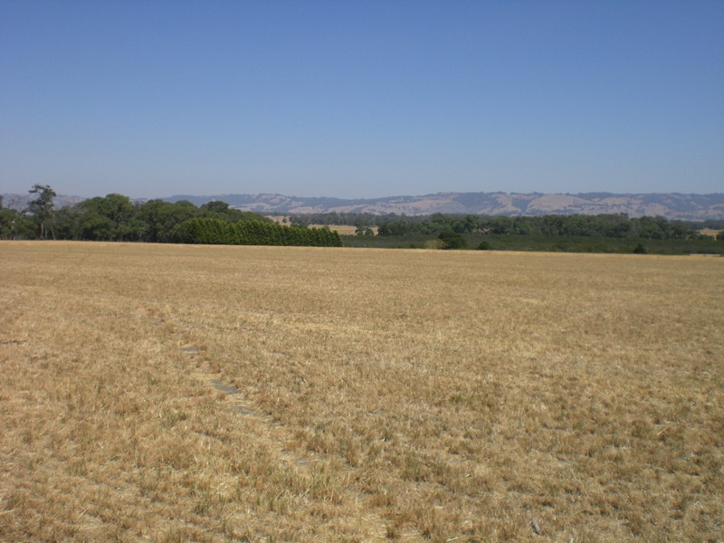 Brookers Road, Shady Creek VIC 3821