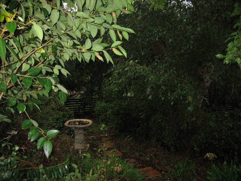 71 Charles Street, Warragul VIC 3820