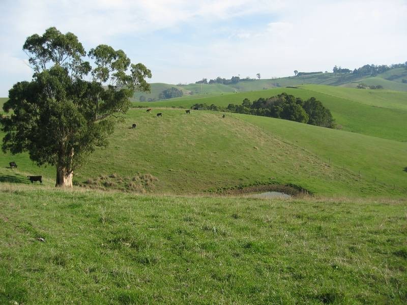 435 Mountain View Road, Mountain View VIC 3988