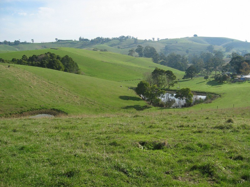 435 Mountain View Road, Mountain View VIC 3988