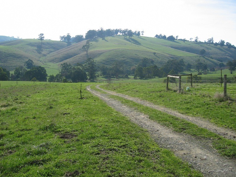 435 Mountain View Road, Mountain View VIC 3988