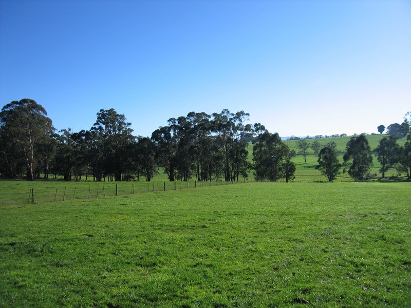 Lot 3, 3 Curries Road, Lardner VIC 3821