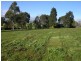 20 Lovell Drive, Warragul VIC 3820