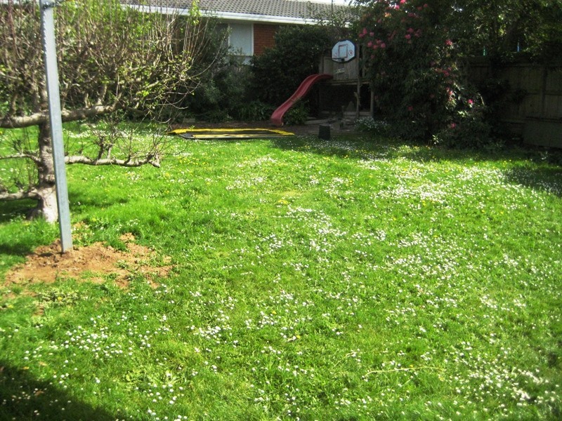 11 Elizabeth Street, Warragul VIC 3820