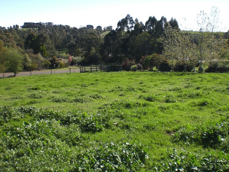 181 Bona Vista Road, Warragul VIC 3820