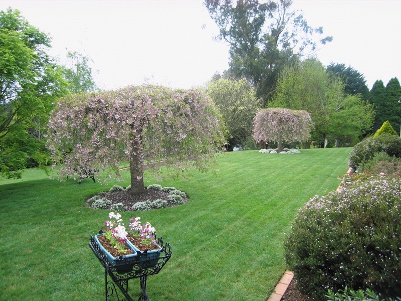 7 Toorongo Court, Warragul VIC 3820