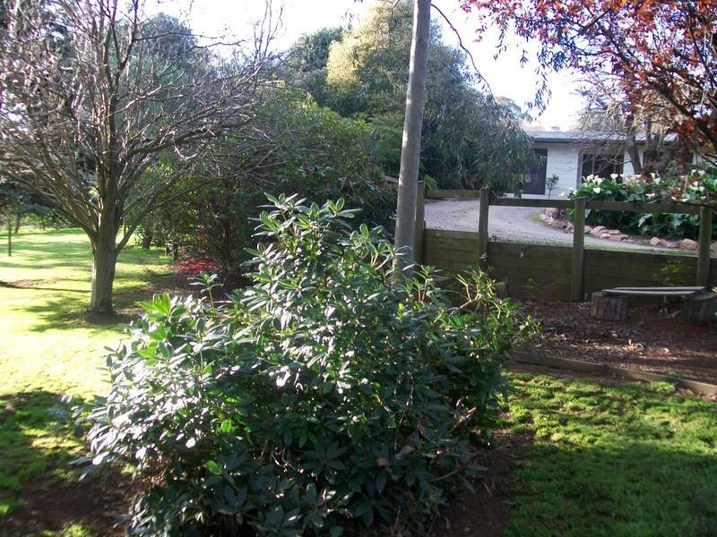 34 Wellwood Road, Drouin VIC 3818